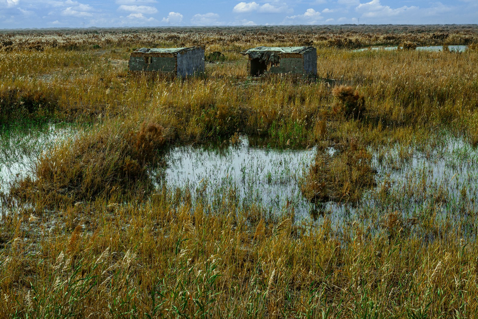 Councils can’t afford to investigate contaminated land sites