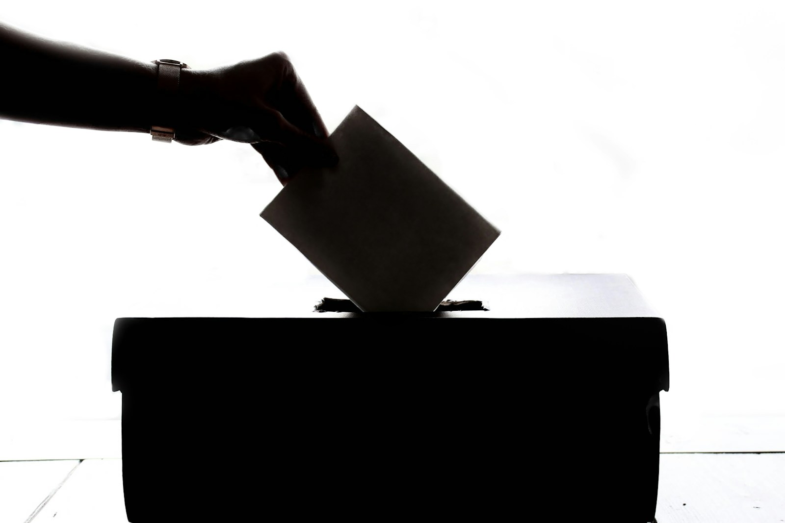 Reform mounts legal challenge of local election delays