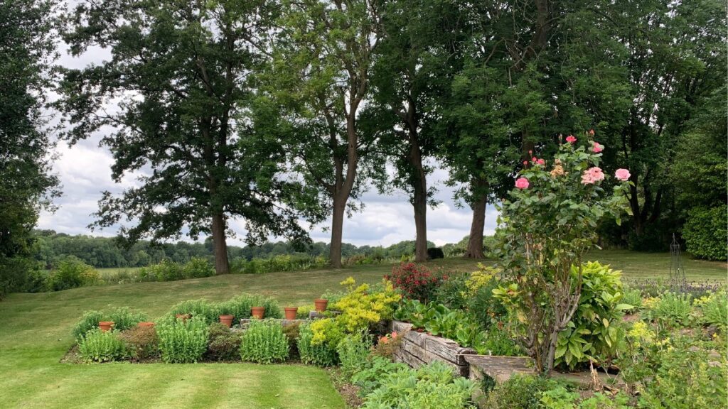 Croydon takes action against developers who ignored planning rules