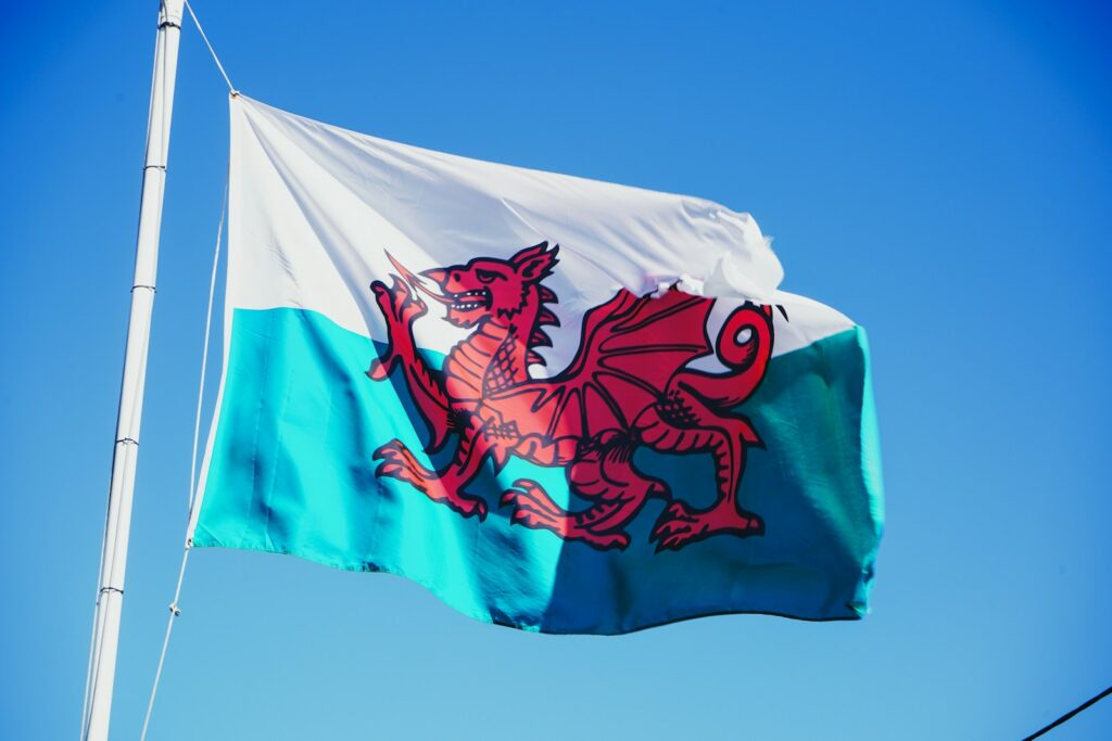 Council calls for new homes to go to Welsh-speakers only