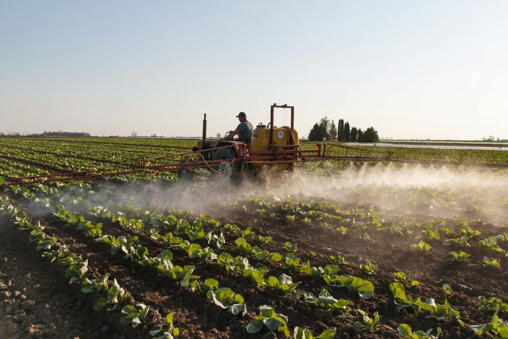 Cornwall Council under fire for glyphosate reintroduction plans
