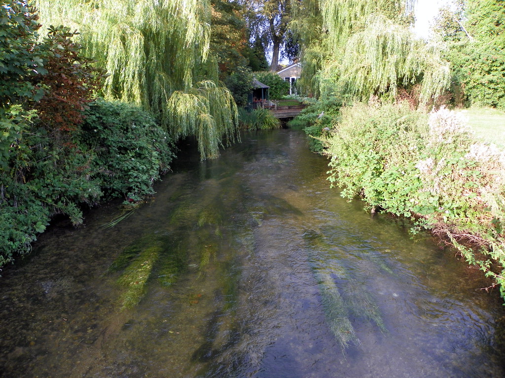High Court tests waters on industrial farming pollution case’