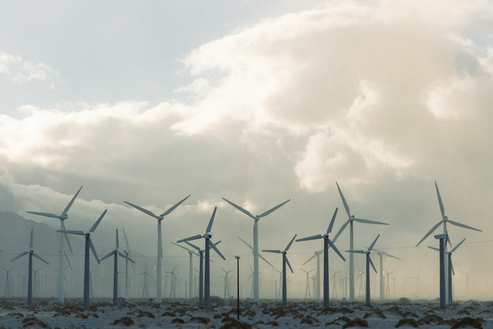 Wind farm approval now under court review