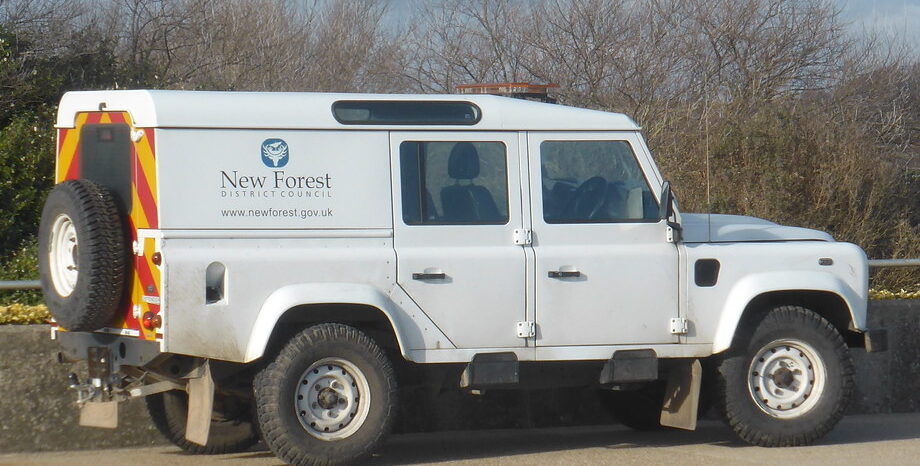 New Forest rules out judicial review over LGR