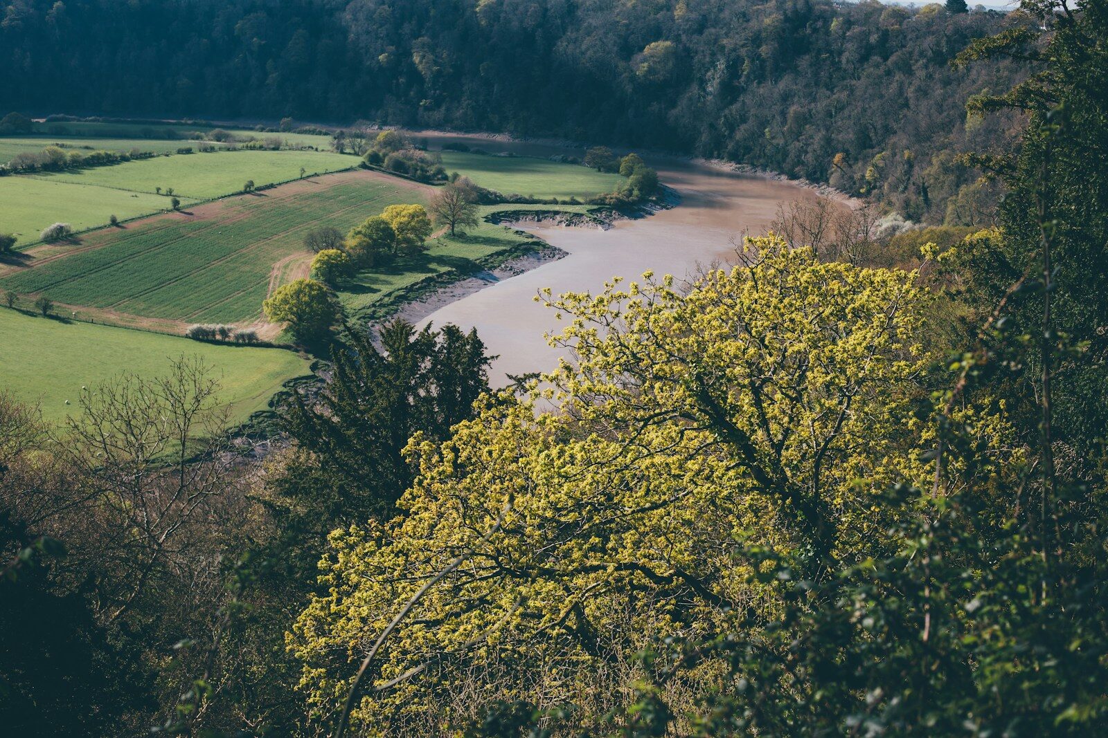 5,000 join UK’s biggest river pollution legal claim